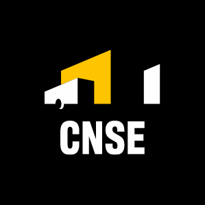 Logo CNSE